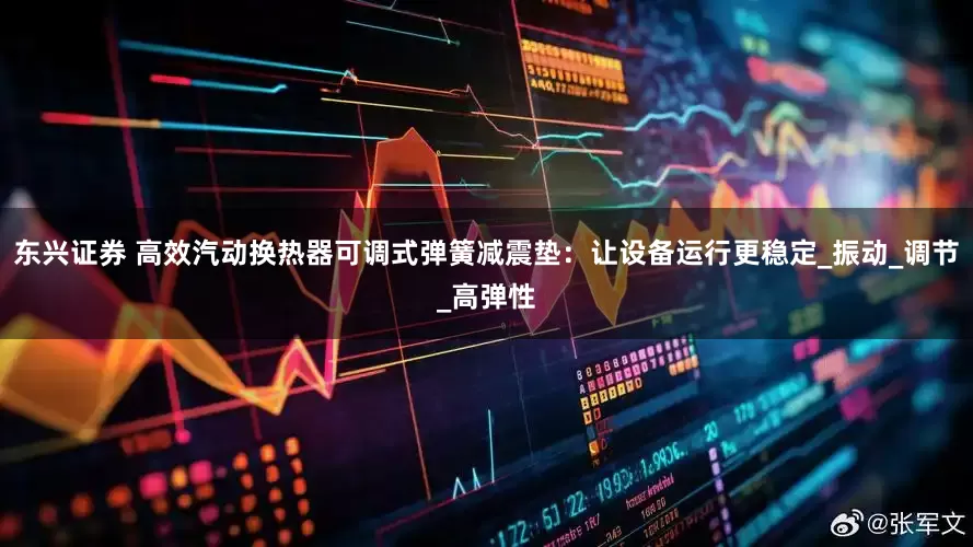 东兴证券 高效汽动换热器可调式弹簧减震垫：让设备运行更稳定_振动_调节_高弹性